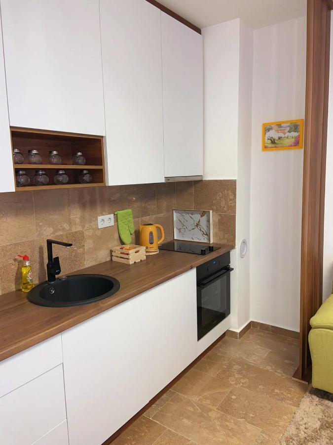 Apartment Aria トラヴニク エクステリア 写真